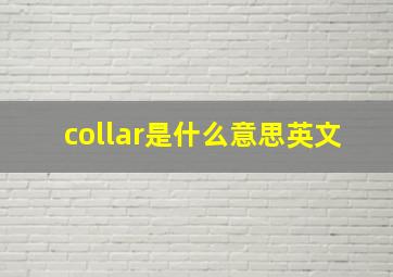 collar是什么意思英文