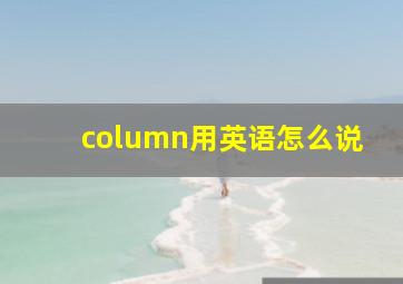 column用英语怎么说