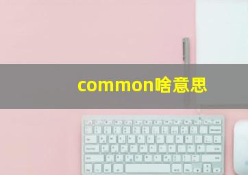 common啥意思