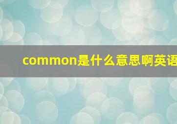 common是什么意思啊英语