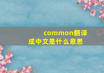 common翻译成中文是什么意思