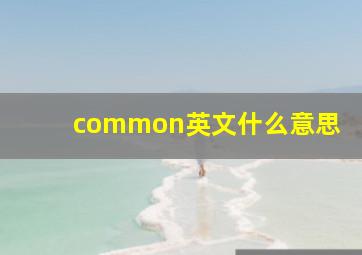 common英文什么意思