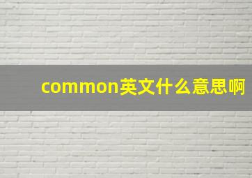 common英文什么意思啊