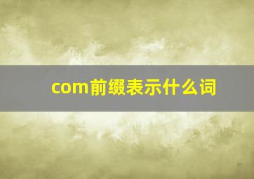 com前缀表示什么词