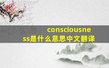 consciousness是什么意思中文翻译