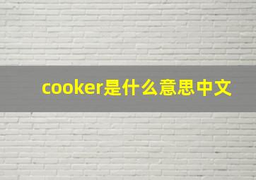 cooker是什么意思中文