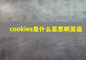 cookies是什么意思啊英语