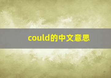 could的中文意思