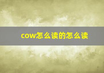 cow怎么读的怎么读