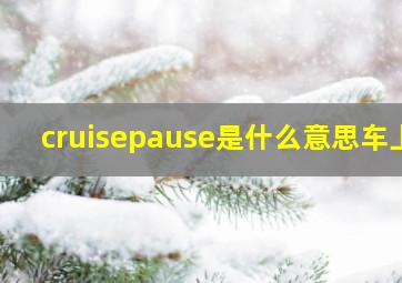 cruisepause是什么意思车上