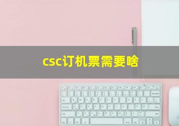 csc订机票需要啥