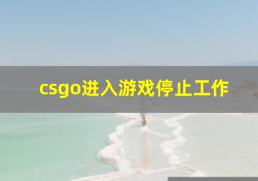 csgo进入游戏停止工作