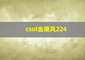 csol金飓风224