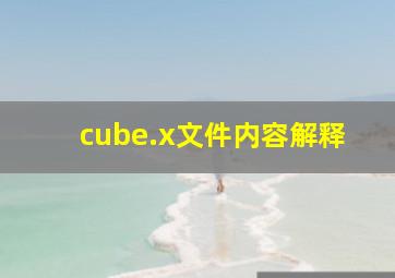 cube.x文件内容解释