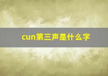 cun第三声是什么字