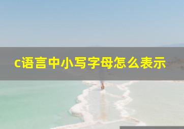 c语言中小写字母怎么表示