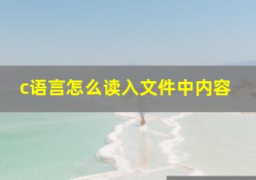 c语言怎么读入文件中内容