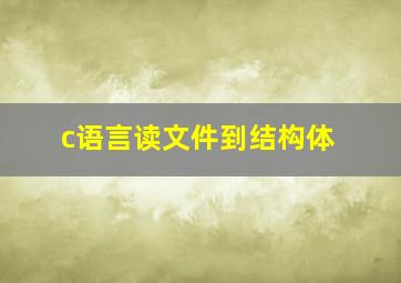 c语言读文件到结构体