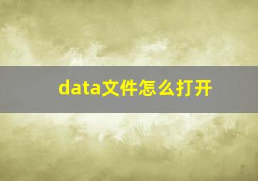 data文件怎么打开