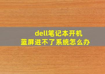 dell笔记本开机蓝屏进不了系统怎么办