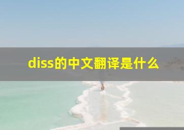 diss的中文翻译是什么