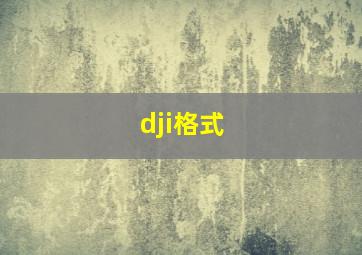 dji格式