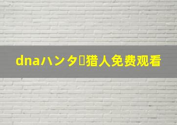 dnaハンター猎人免费观看