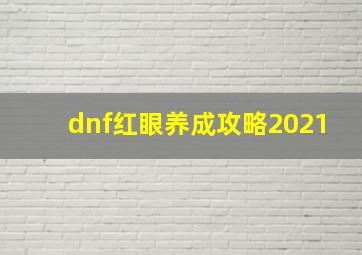 dnf红眼养成攻略2021