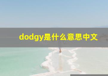 dodgy是什么意思中文