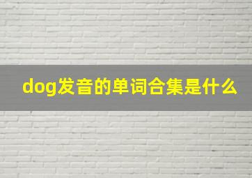 dog发音的单词合集是什么