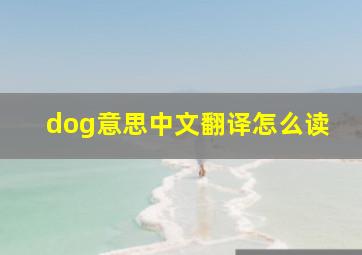 dog意思中文翻译怎么读