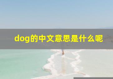 dog的中文意思是什么呢