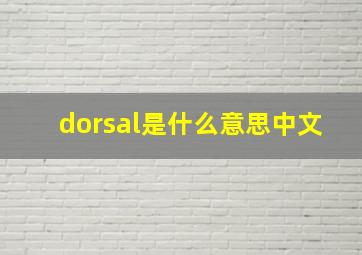 dorsal是什么意思中文