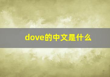 dove的中文是什么