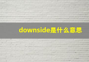 downside是什么意思