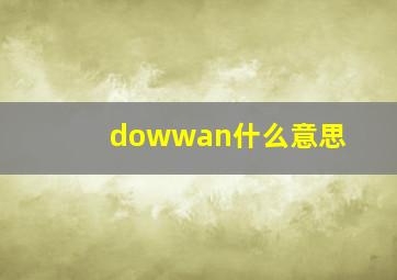 dowwan什么意思