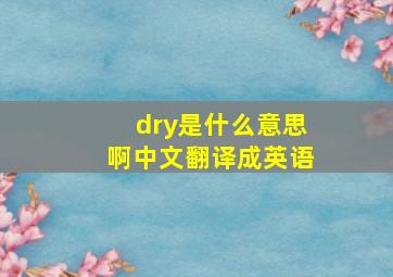 dry是什么意思啊中文翻译成英语