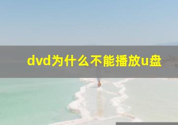 dvd为什么不能播放u盘