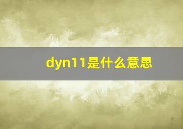 dyn11是什么意思