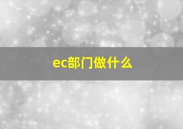 ec部门做什么