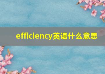 efficiency英语什么意思