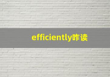 efficiently咋读