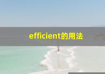 efficient的用法