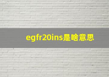 egfr20ins是啥意思