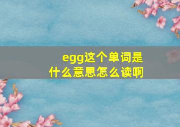 egg这个单词是什么意思怎么读啊