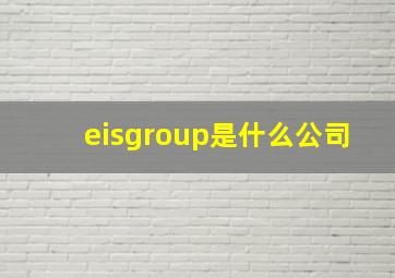 eisgroup是什么公司