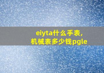 eiyta什么手表,机械表多少钱pgle