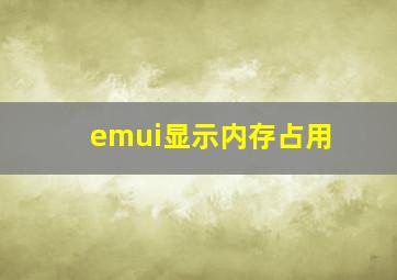 emui显示内存占用