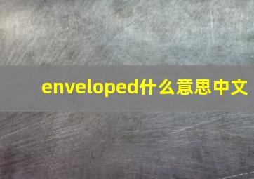 enveloped什么意思中文