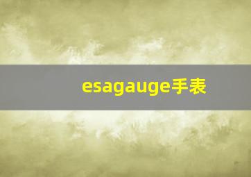 esagauge手表